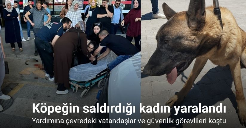 Köpeğin saldırdığı kadın yaralandı
