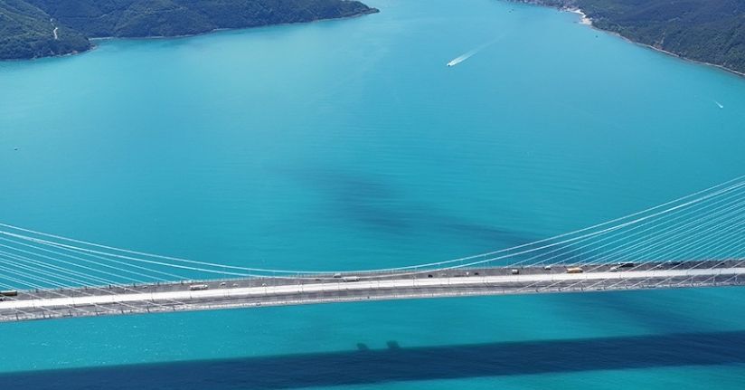 Turkuaza dönen İstanbul boğazında yunuslar akın etti
