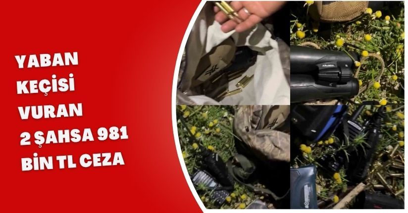 Yaban keçisi vuran 2 şahsa 981 bin TL ceza