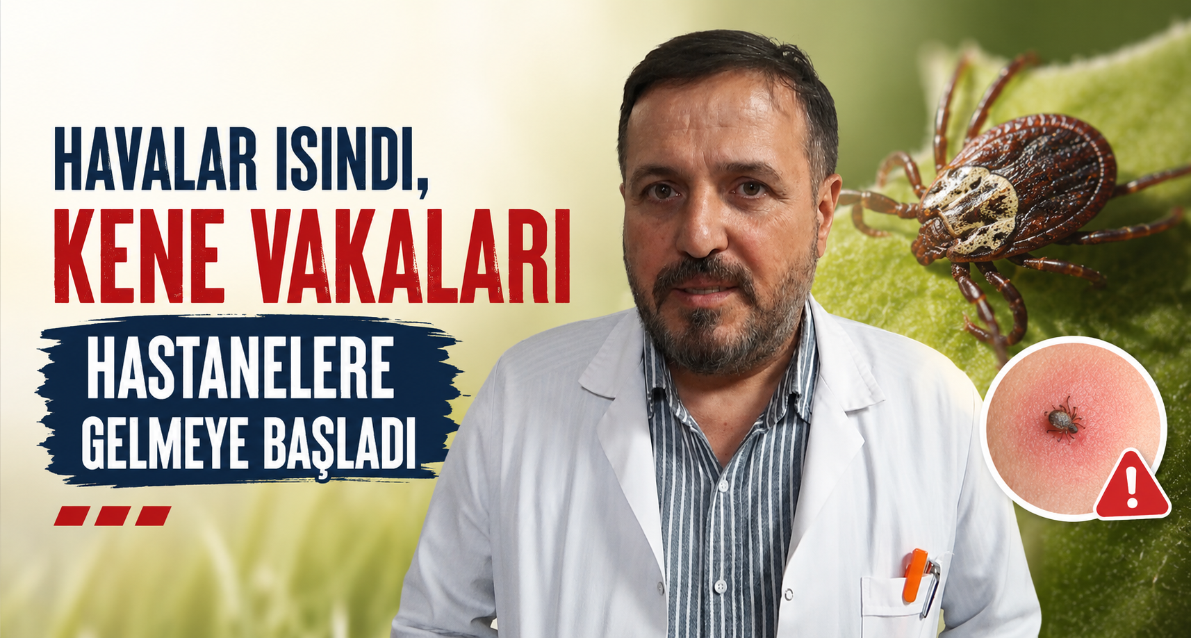Havalar ısındı, kene vakaları hastanelere gelmeye başladı