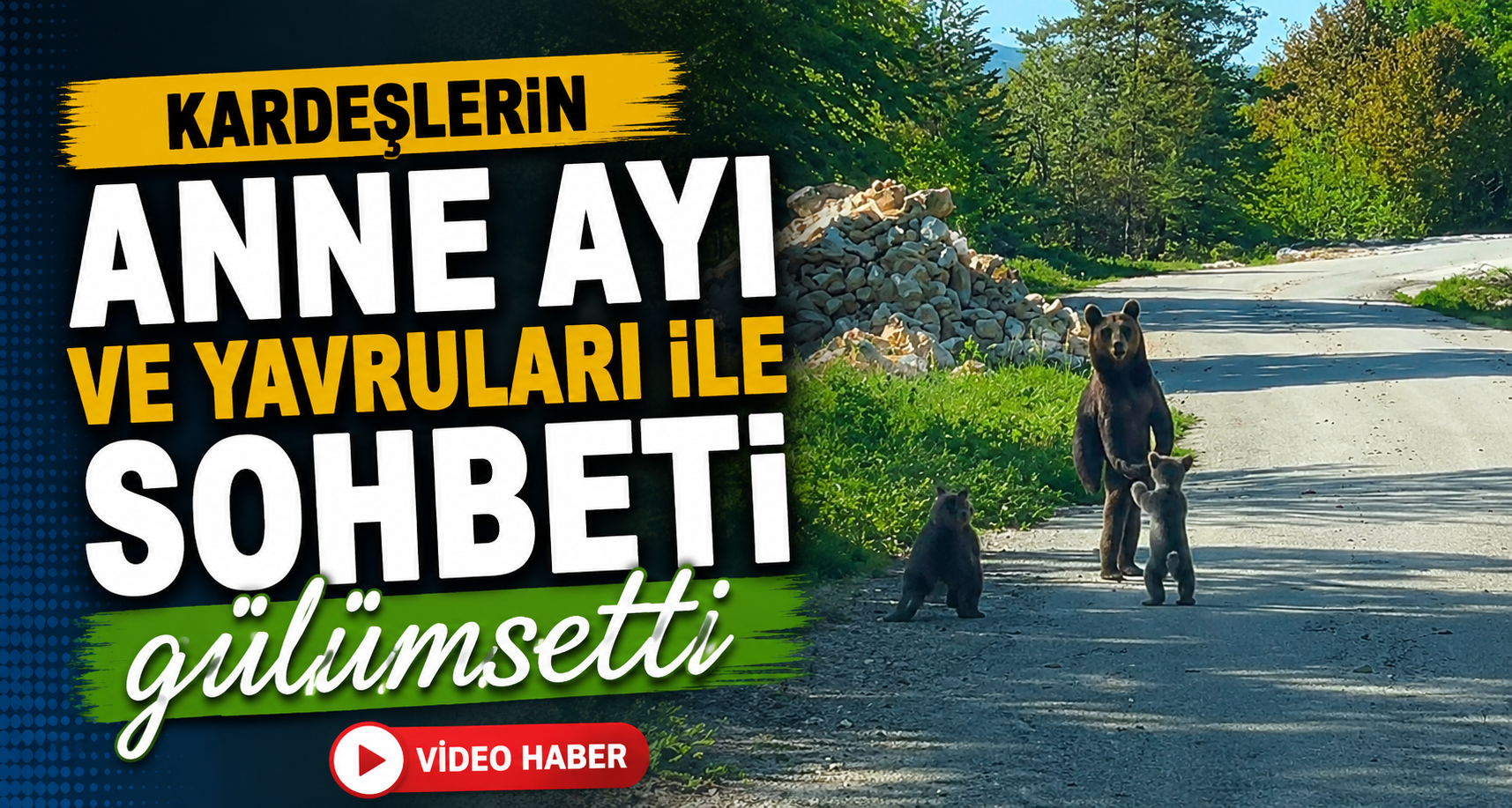 Kardeşlerin anne ayı ve yavruları ile sohbeti gülümsetti