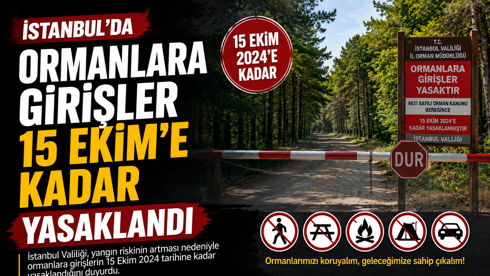 İstanbul'da ormanlara girişler 15 Ekim'e kadar yasaklandı