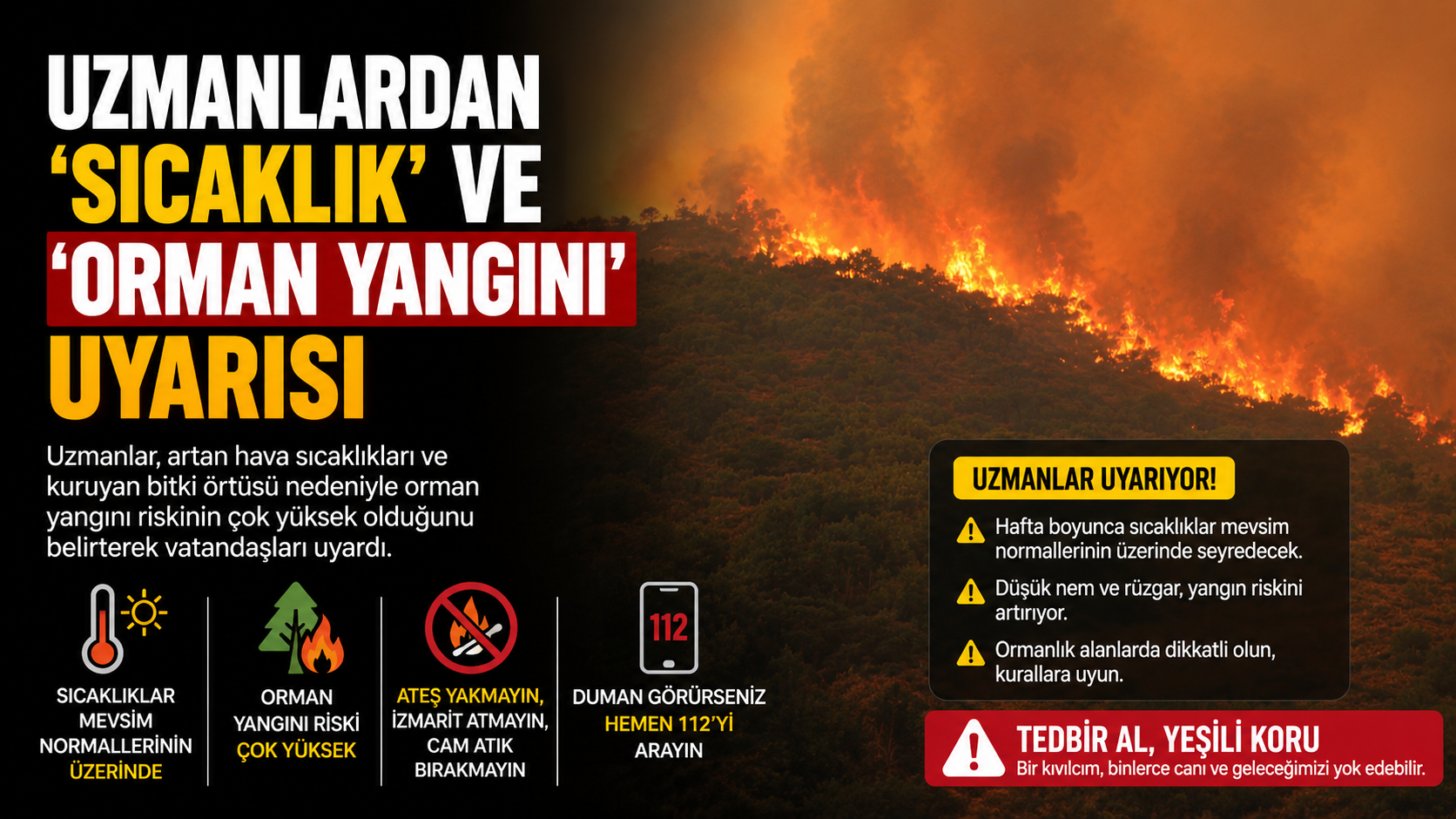 Uzmanlardan 'sıcaklık' ve 'orman yangını' uyarısı