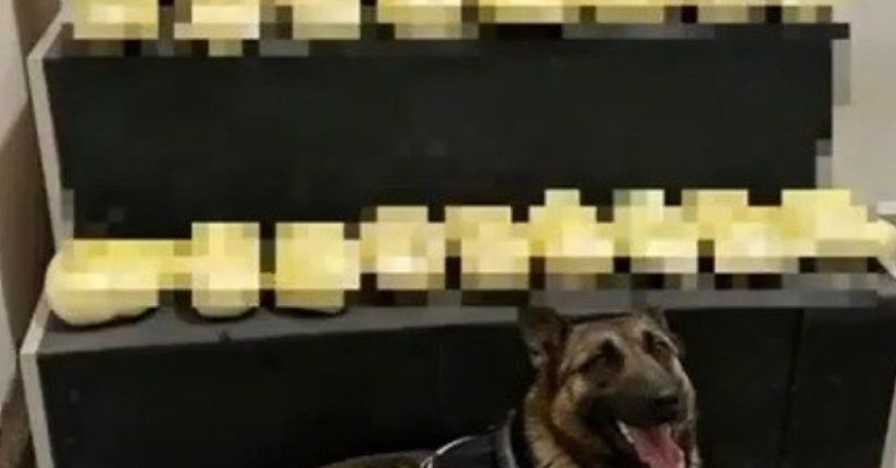 Erzincan’da 20,1 kilogram metamfetamin ele geçirildi