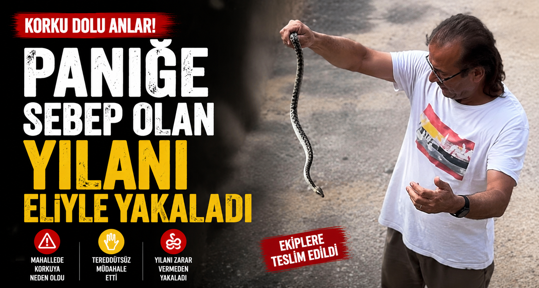 Paniğe sebep olan yılanı eliyle yakaladı