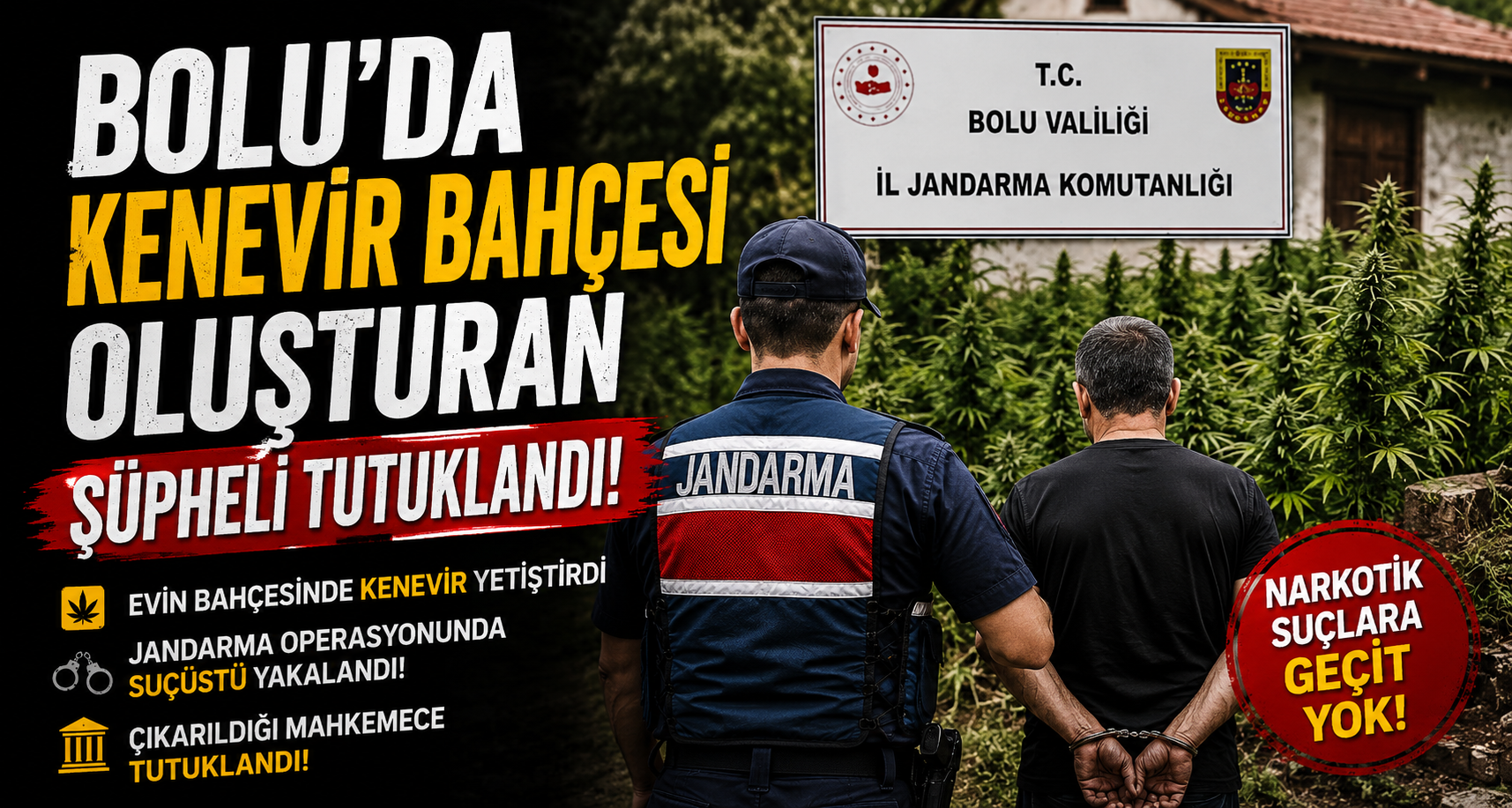 Bolu’da kenevir bahçesi oluşturan şüpheli tutuklandı