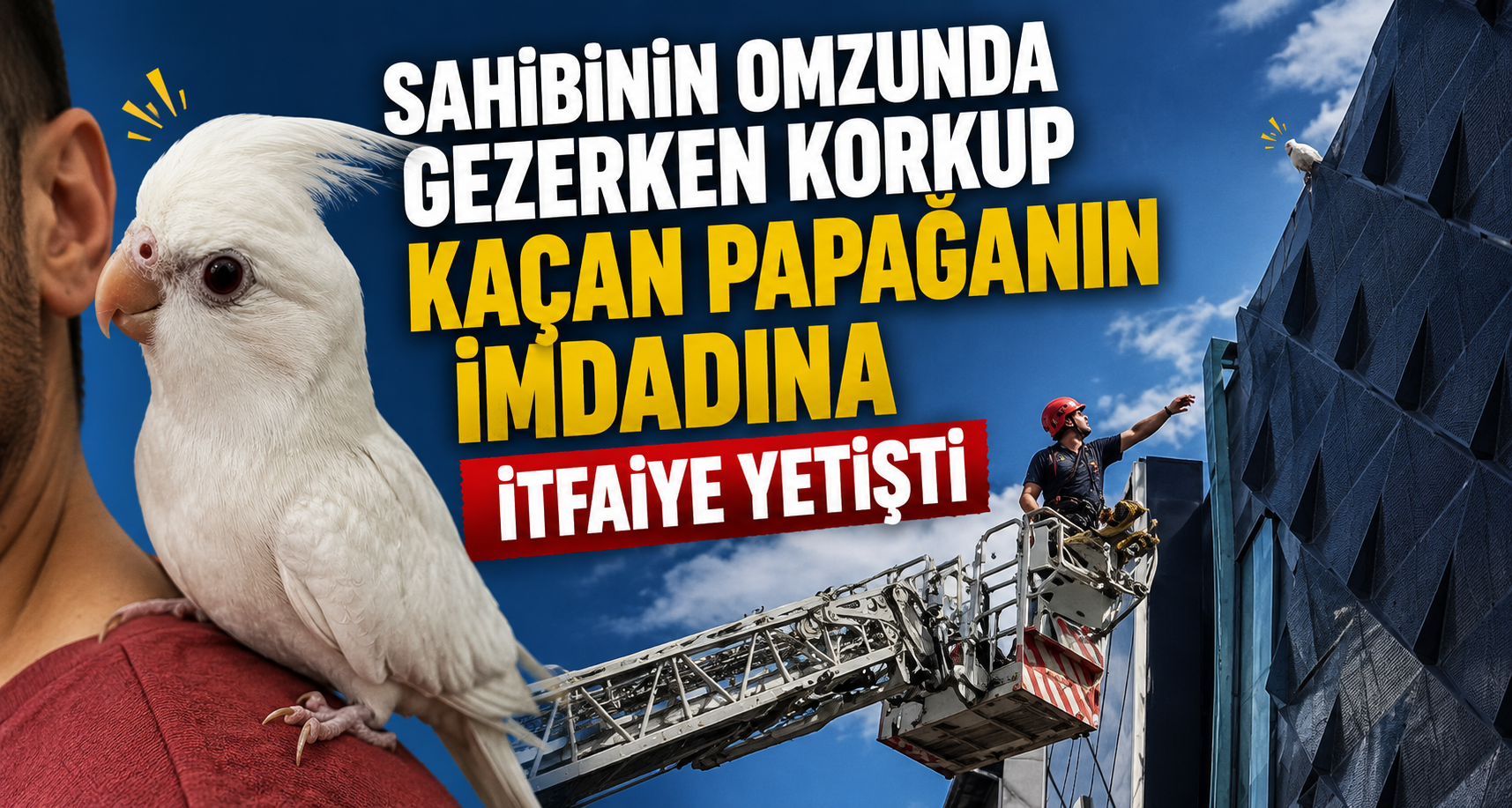 Sahibinin Omzunda Gezerken Korkup Kaçan Papağanın İmdadına İtfaiye Yetişti