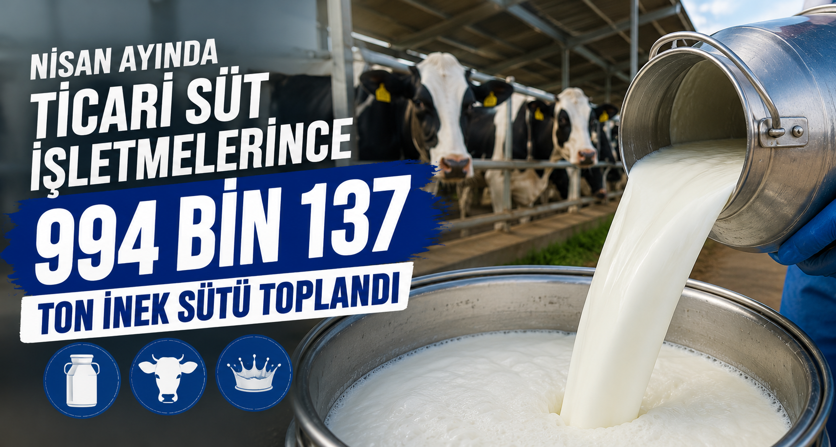 Nisan ayında ticari süt işletmelerince 994 bin 137 ton inek sütü toplandı