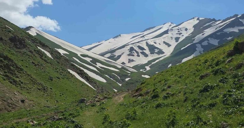 Haziran ayında karda kayıp kartopu oynadılar