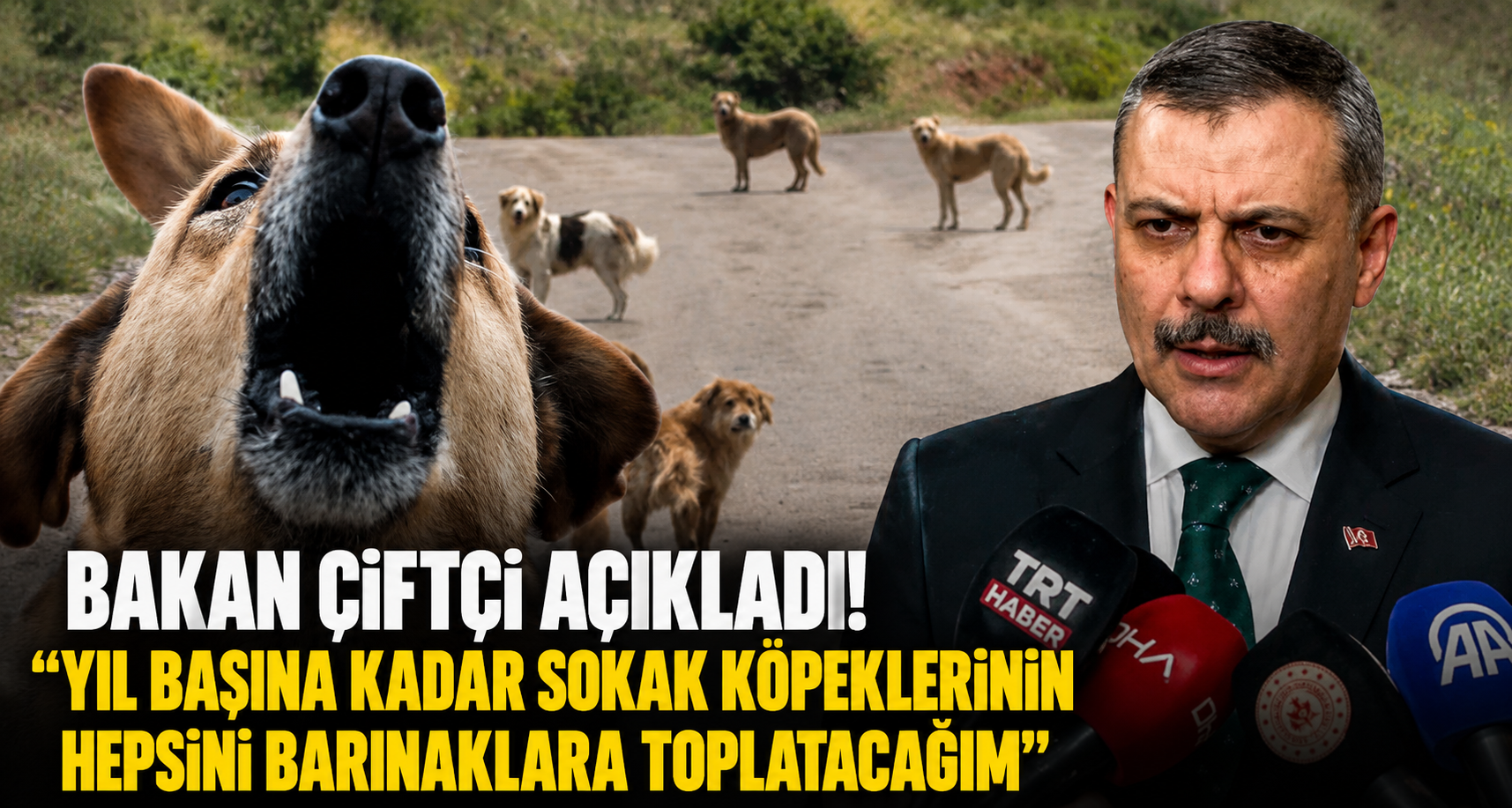 Bakan Çiftçi: 