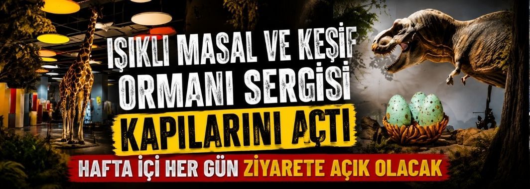 Işıklı Masal Ve Keşif Ormanı Sergisi Kapılarını Açtı