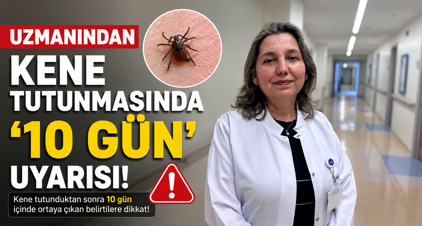 Uzmanından kene tutunmasında ’10 gün’ uyarısı