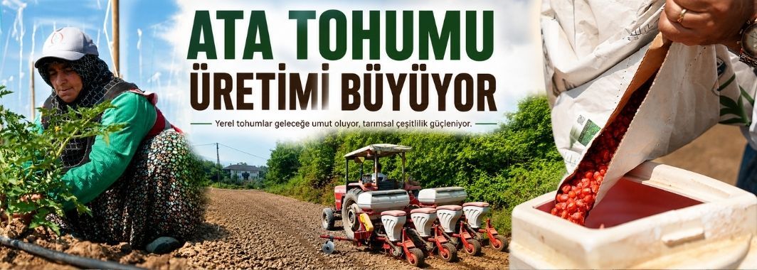 Üretim Alanı 2 Dönümden 6 Dönüme Çıktı