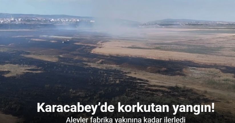 Karacabey’de korkutan yangın: Alevler fabrika yakınına kadar ilerledi