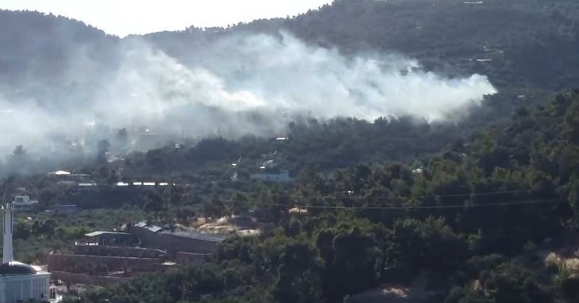 Ayvacık’ta zeytinlik alanda çıkan yangın kontrol altına alındı