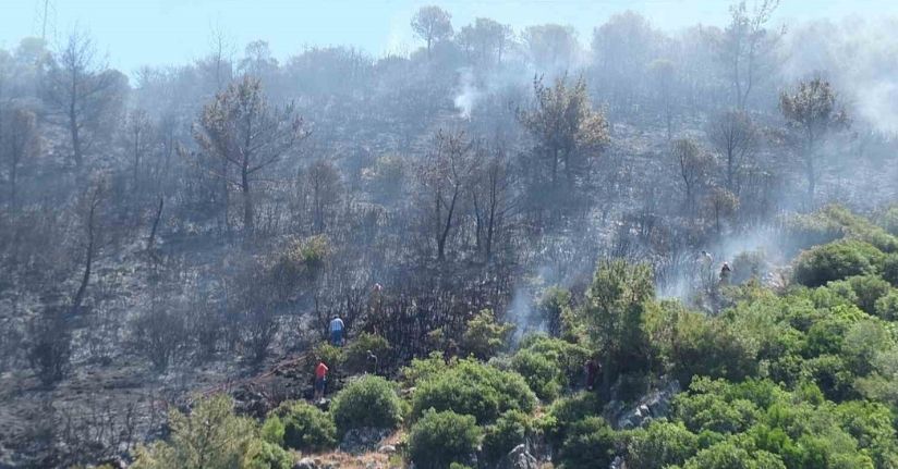 Burhaniye’de çıkan orman yangınında yaklaşık 10 dekar alan zarar gördü