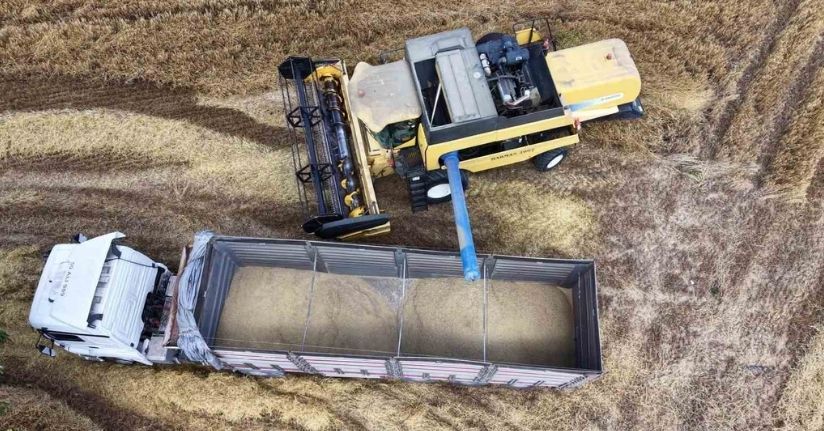 Tekirdağ’da biçerdöverler tarlaya indi, hasat mesaisi başladı
