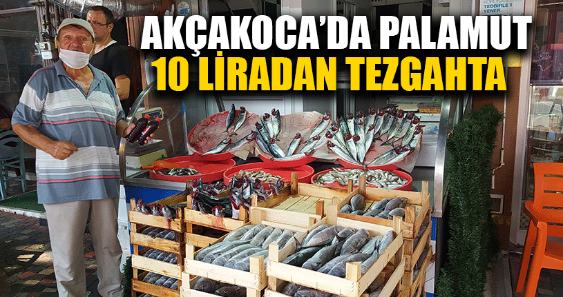 Palamut'un Bolluğu Balıkçıların Yüzlerini Güldürdü