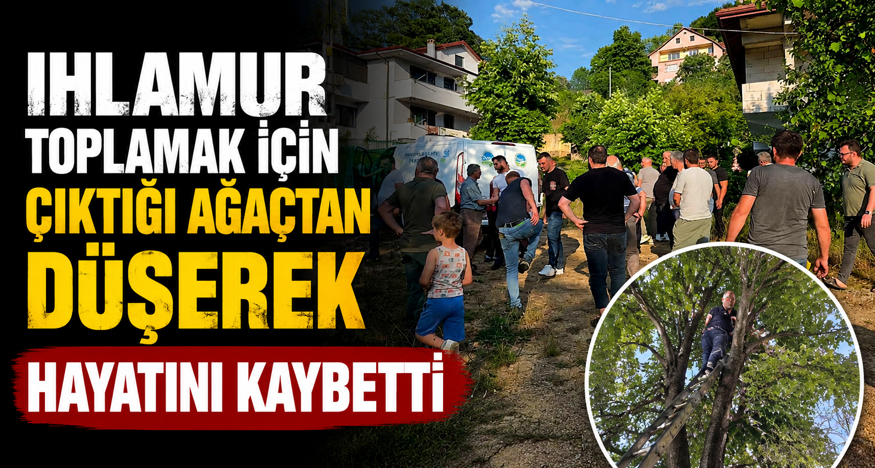 Ihlamur toplamak için çıktığı ağaçtan düşerek hayatını kaybetti
