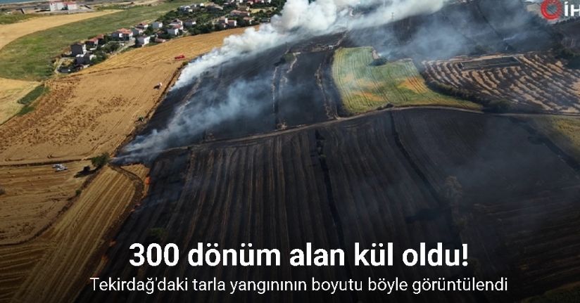 Tekirdağ’da buğday tarlalarına sıçrayan yangında 300 dönüm alan kül oldu