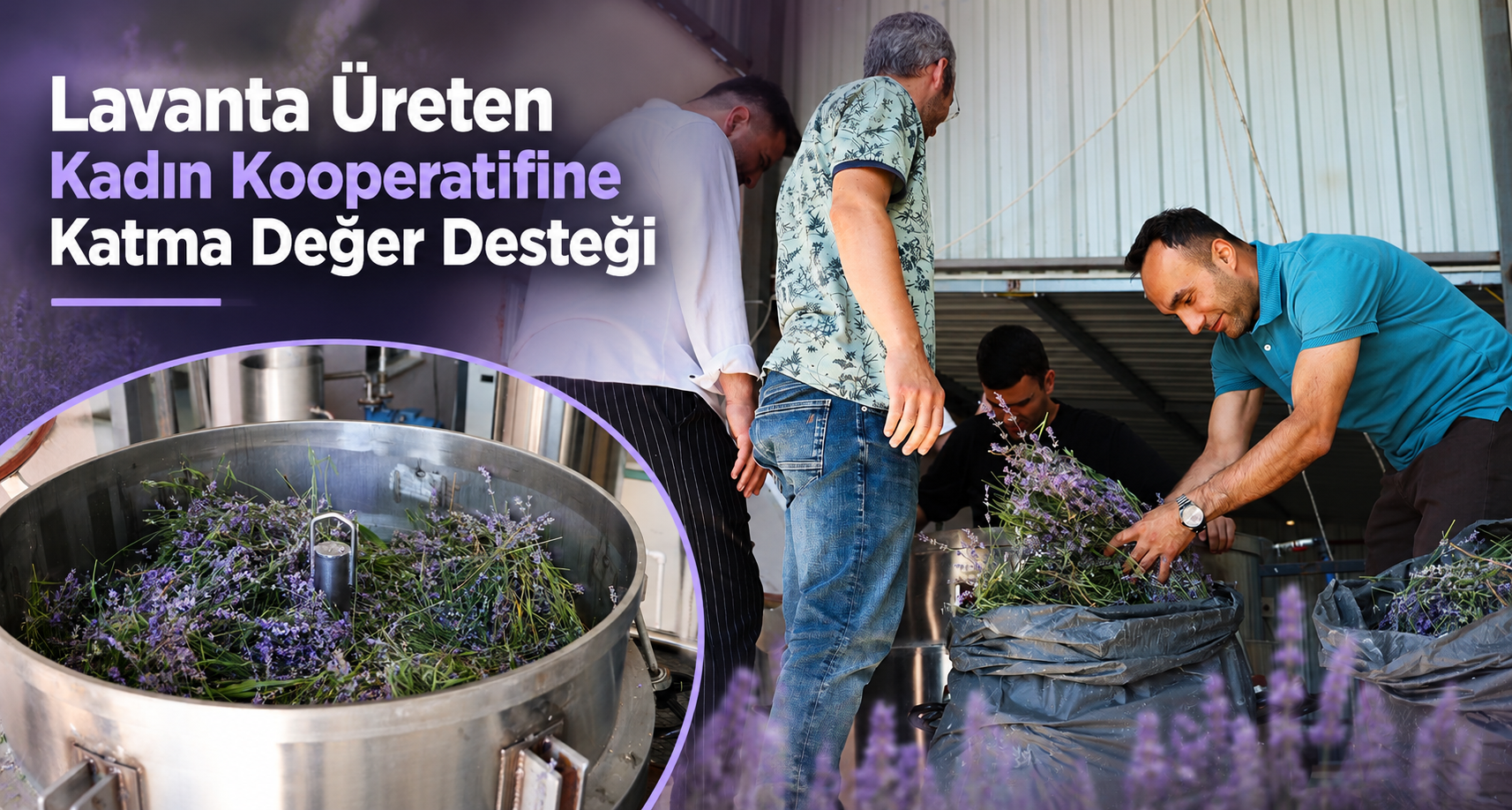 Lavanta Üreten Kadın Kooperatifine Katma Değer Desteği