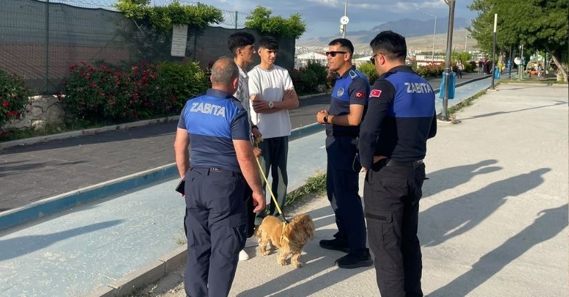 Edremit'in 7 mahallesinde 'kuduz' alarmı; karantina uygulaması başlatıldı