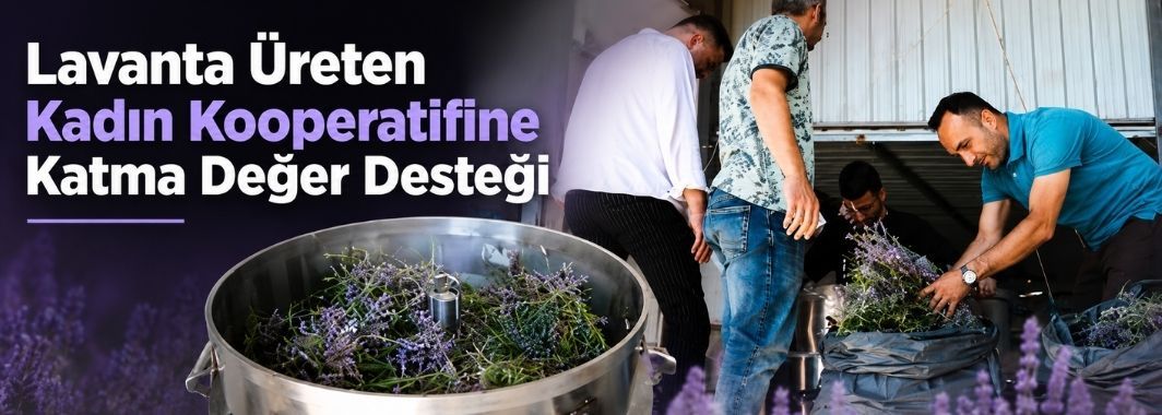 Lavanta Üreten Kadın Kooperatifine Katma Değer Desteği