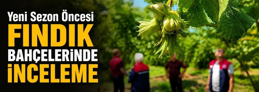 Yeni Sezon Öncesi Fındık Bahçelerinde İnceleme