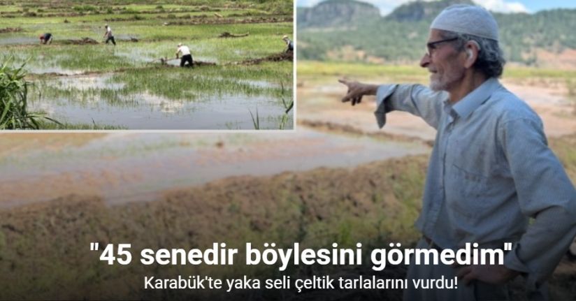 Karabük'te yaka seli çeltik tarlalarını vurdu