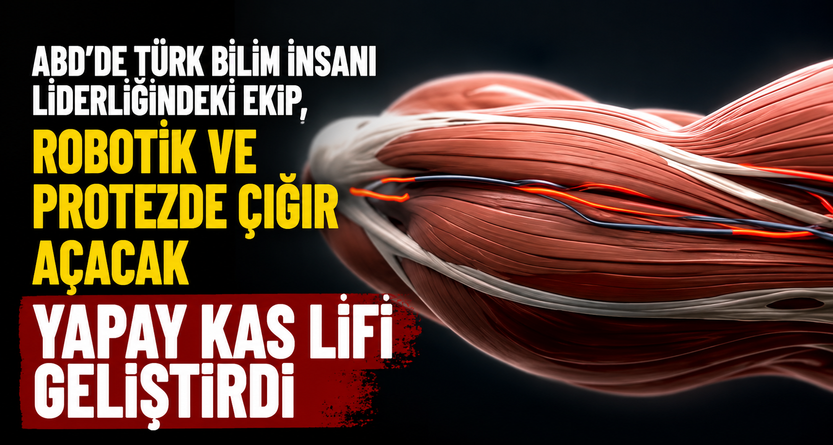 ABD'de Türk bilim insanı liderliğindeki ekip, robotik ve protezde çığır açacak yapay kas lifi geliştirdi