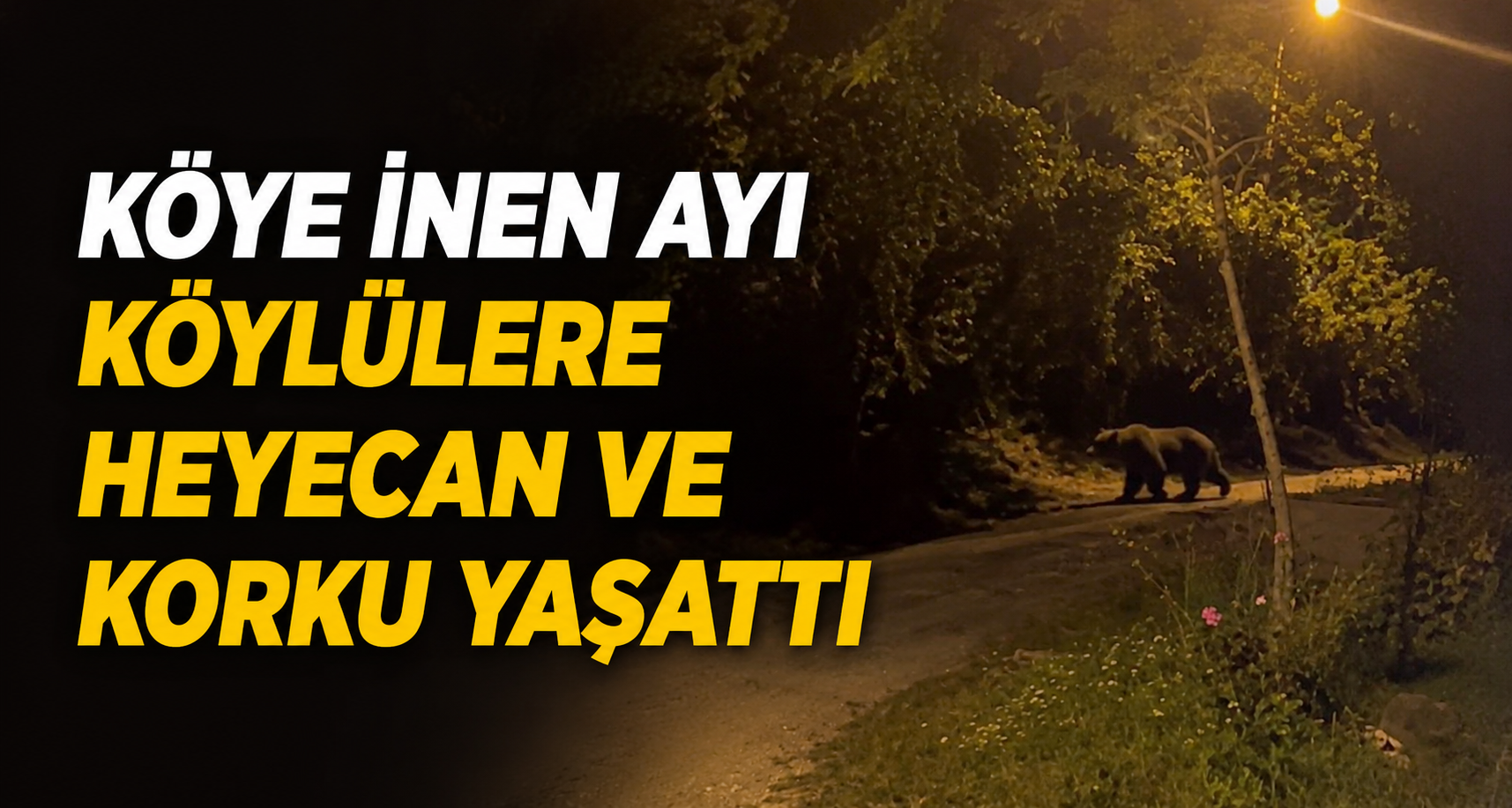 Köye inen ayı köylülere heyecan ve korku yaşattı