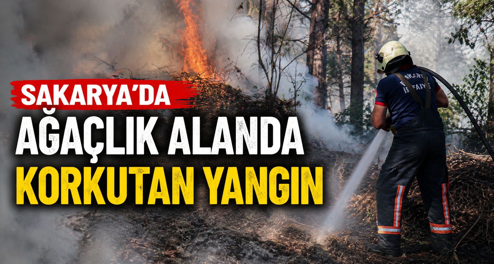  Sakarya'da ağaçlık alanda korkutan yangın