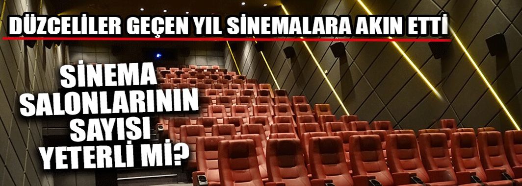 Düzceliler Geçen Yıl Sinemalara Akın Etti