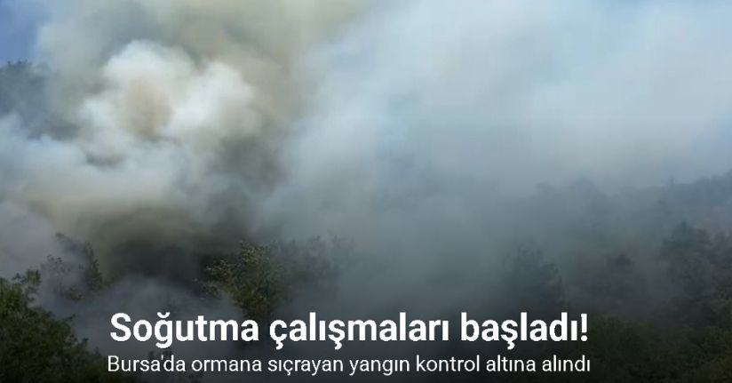 Bursa'da ormana sıçrayan yangın kontrol altına alındı