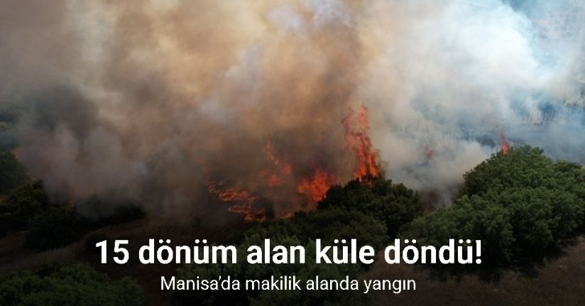 Makilik alanda yangın: 15 dönüm alan küle döndü