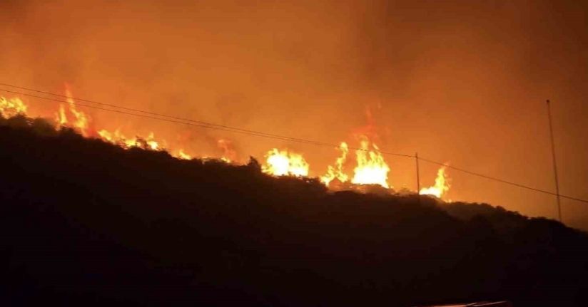 İzmir’de makilik alanda yangın