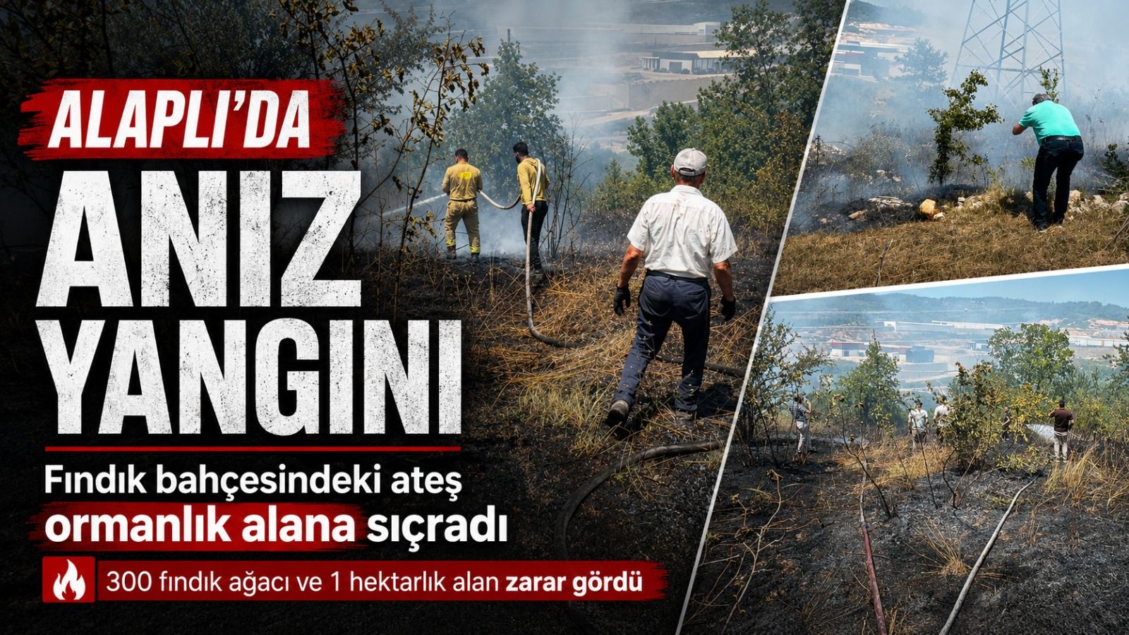 Anız yangını kontrolden çıkıp ormana sıçradı