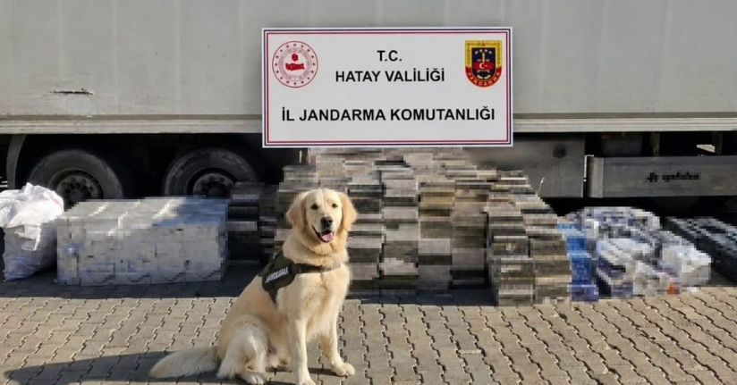 Eşya taşınan tır dorsesinden 3 bin karton kaçak sigara çıktı