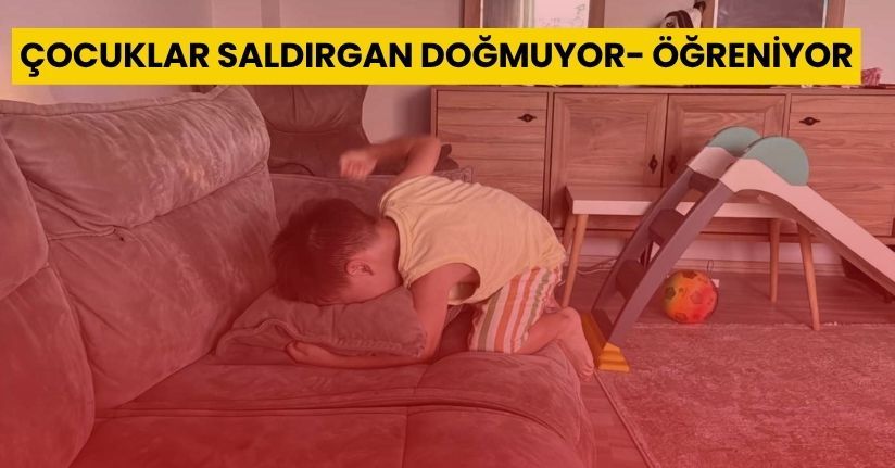Çocuklar saldırgan doğmuyor, öğreniyor