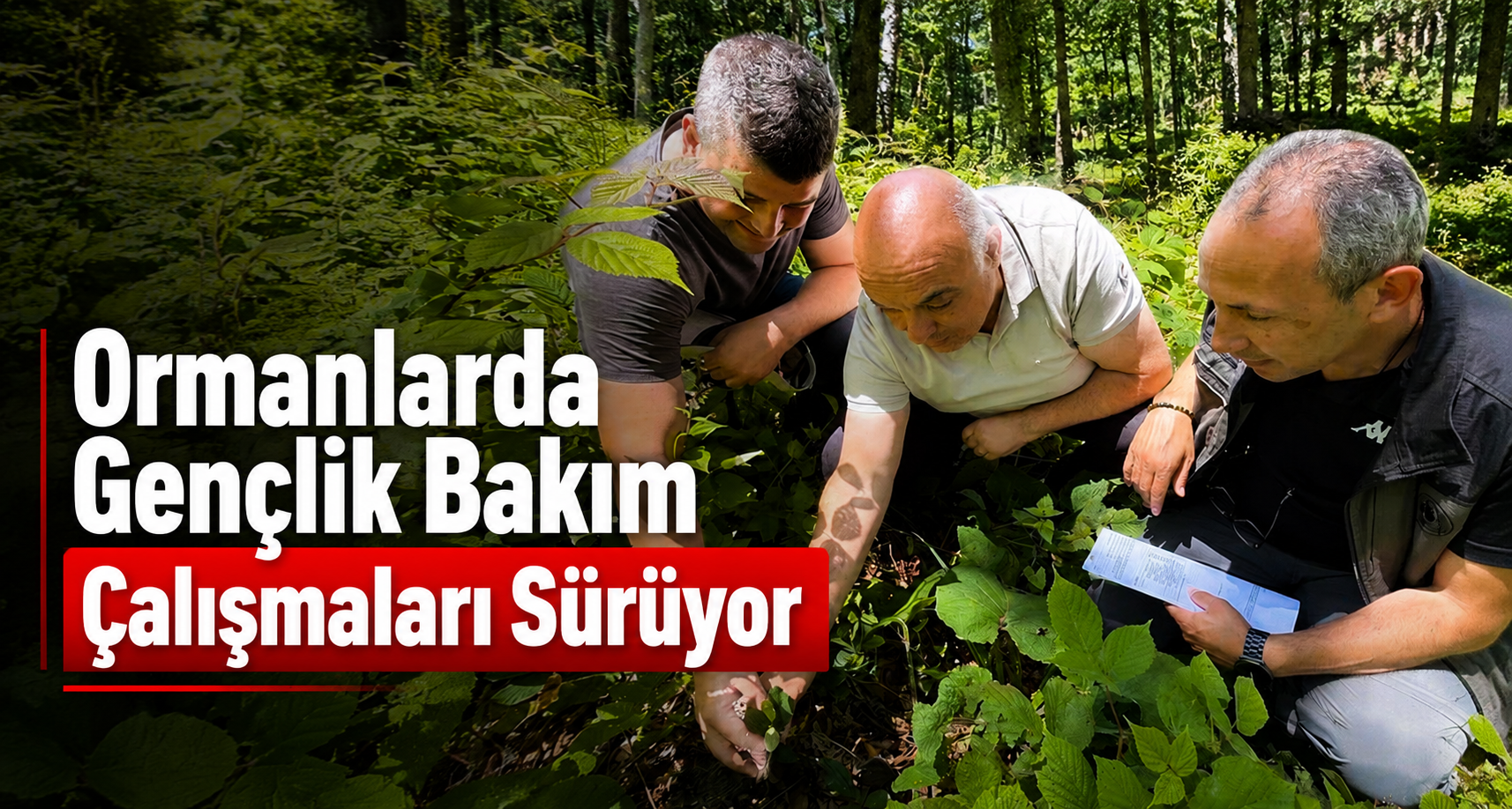 Ormanlarda Gençlik Bakım Çalışmaları Sürüyor