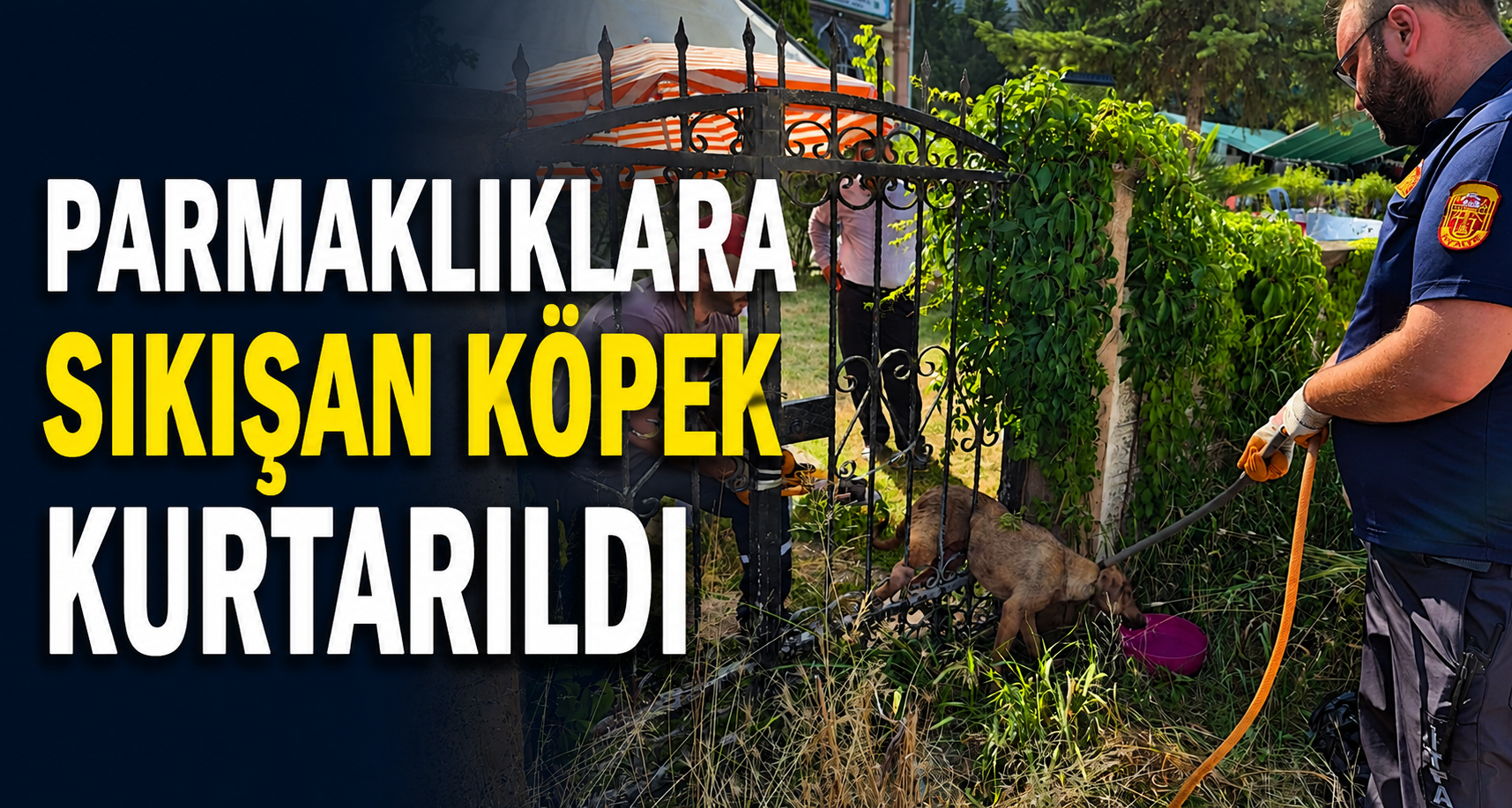 Parmaklıklara Sıkışan Köpek Kurtarıldı