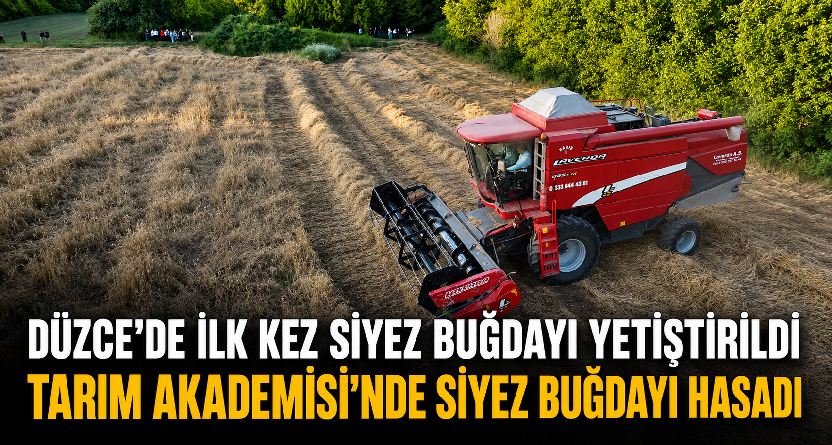 Tarım Akademisi’nde Siyez Buğdayı Hasadı