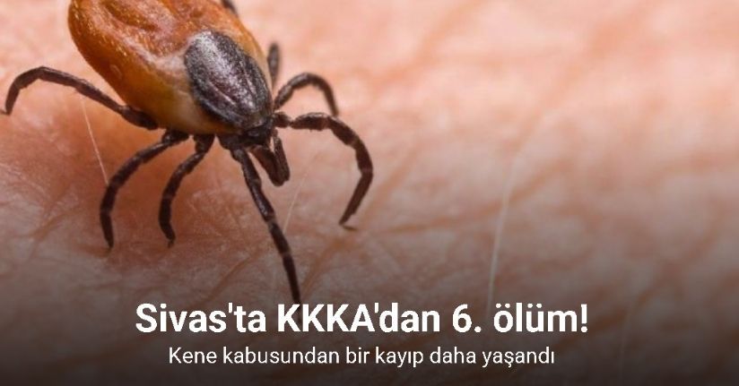 Sivas’ta kene nedeniyle 6. ölüm