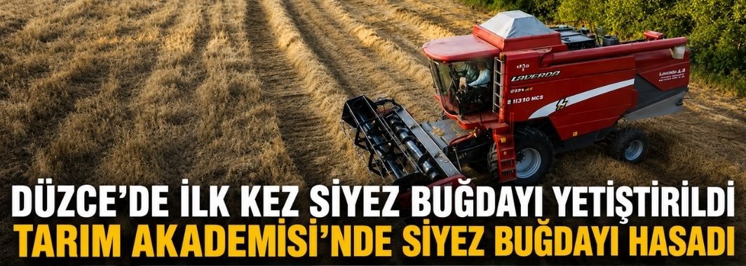 Tarım Akademisi’nde Siyez Buğdayı Hasadı