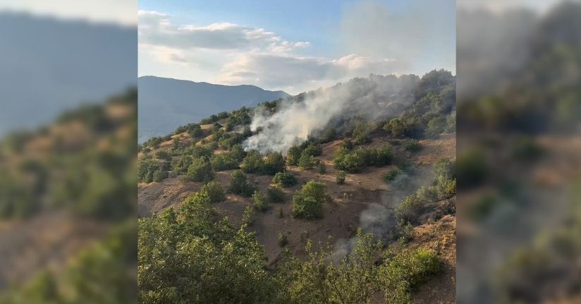 Malatya'da orman yangını 21 saat sonra kontrol altında