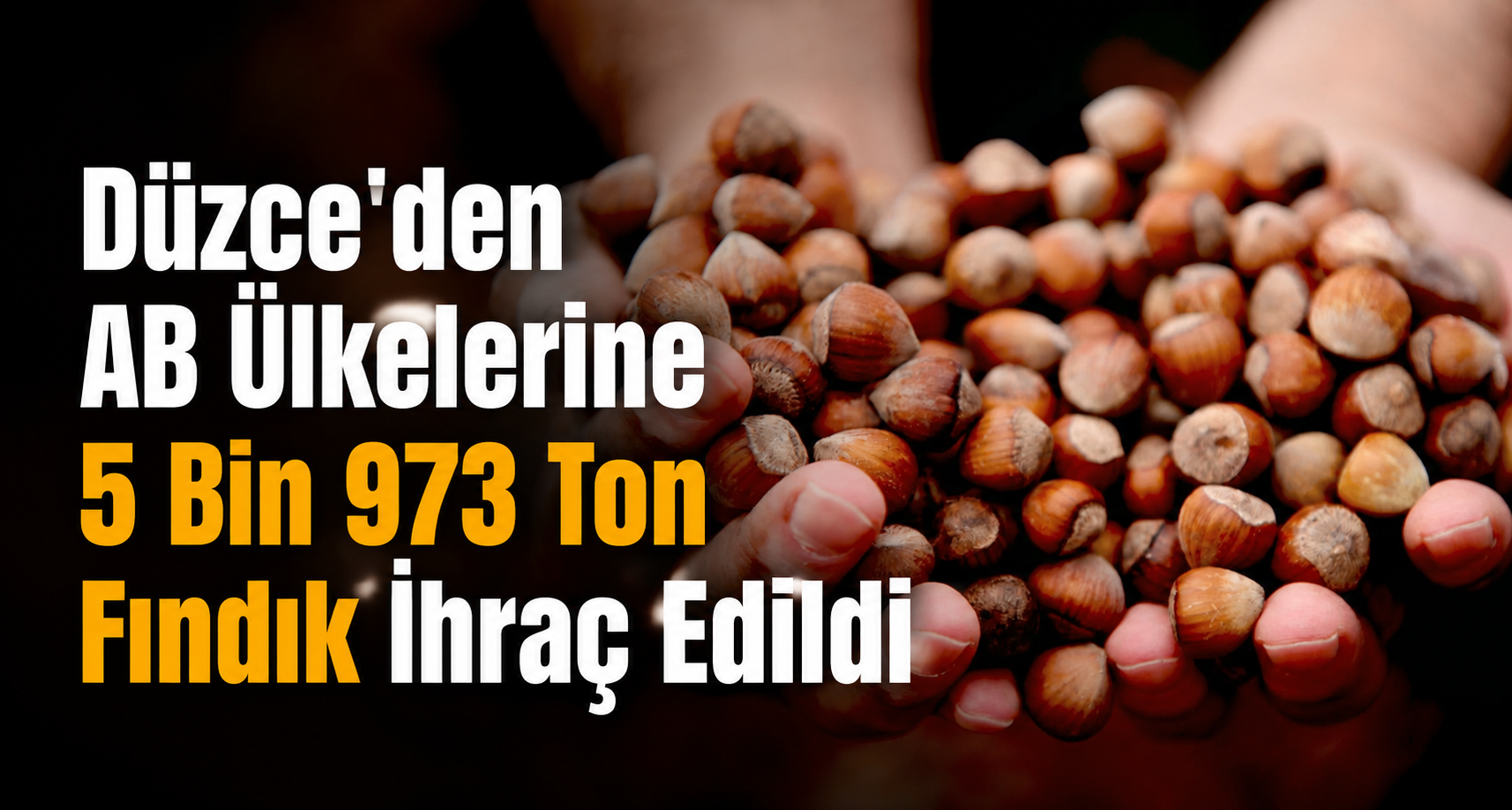 Düzce'den AB Ülkelerine 5 Bin 973 Ton Fındık İhraç Edildi