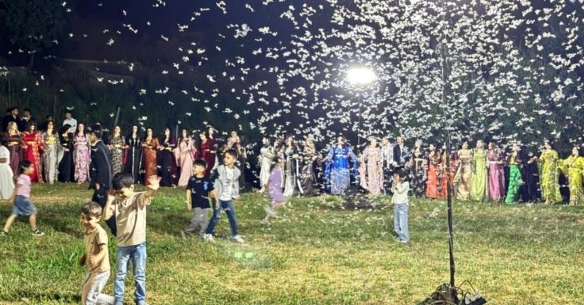 Düğün alanını kelebekler sardı, davetliler oturdu kelebekler dans etti