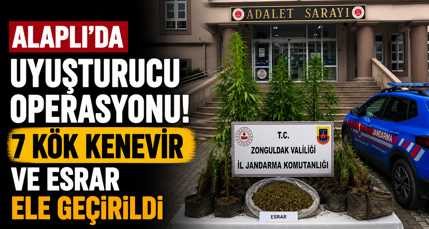 Alaplı’da uyuşturucu operasyonunda 7 kök kenevir ve esrar ele geçirildi