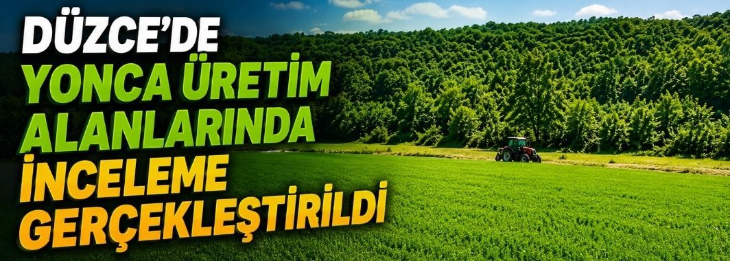 Düzce’de Yonca Üretim Alanlarında İnceleme Gerçekleştirildi