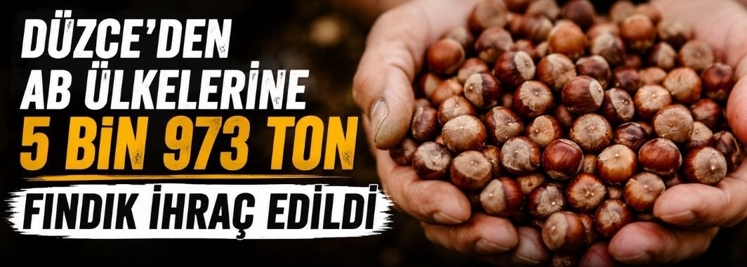 Düzce'den AB Ülkelerine 5 Bin 973 Ton Fındık İhraç Edildi